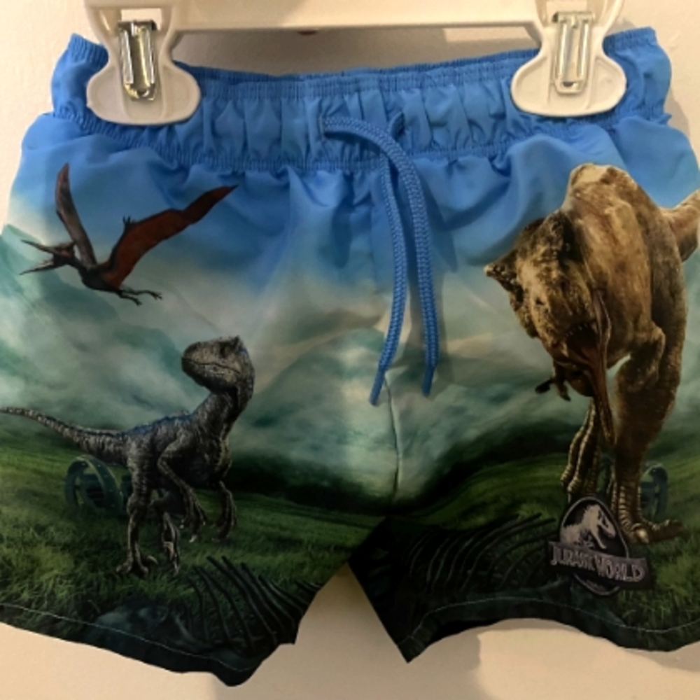 Swim trunks